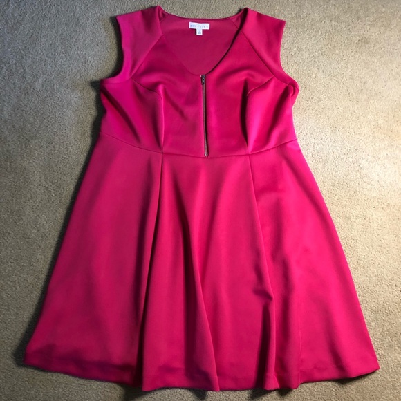 Boutique Dresses & Skirts - Boutique pink skater dress, Size 1X
